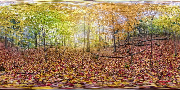 Fotografía 360 en formato equirectangular de un parque en Otoño en Canadá