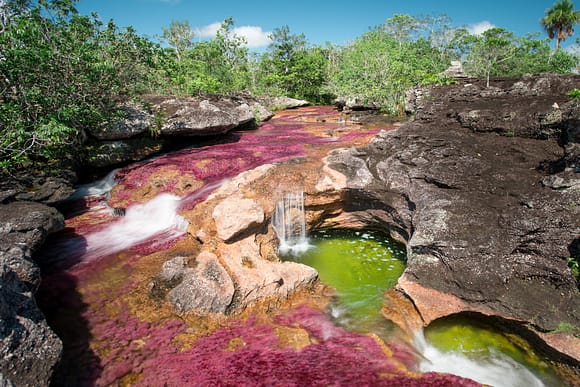 Caño Cristalitos en Colombia Río de Colores